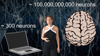 1738669235_maxresdefault.jpg