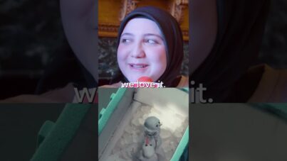 1739036257_maxresdefault.jpg