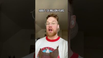 1749308019_maxresdefault.jpg